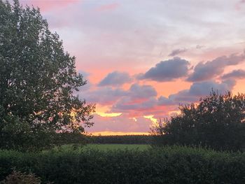 Scenic view of field against sky during sunset