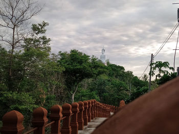 Panoramic shot of trees against sky