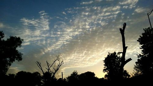 Silhouette trees against cloudy sky