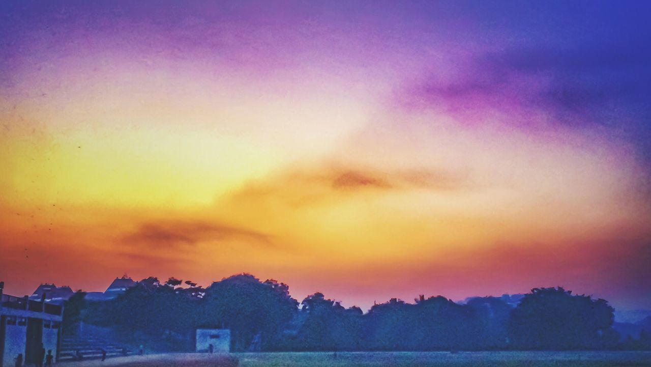 SCENIC VIEW OF SILHOUETTE TREES AGAINST SKY DURING SUNSET