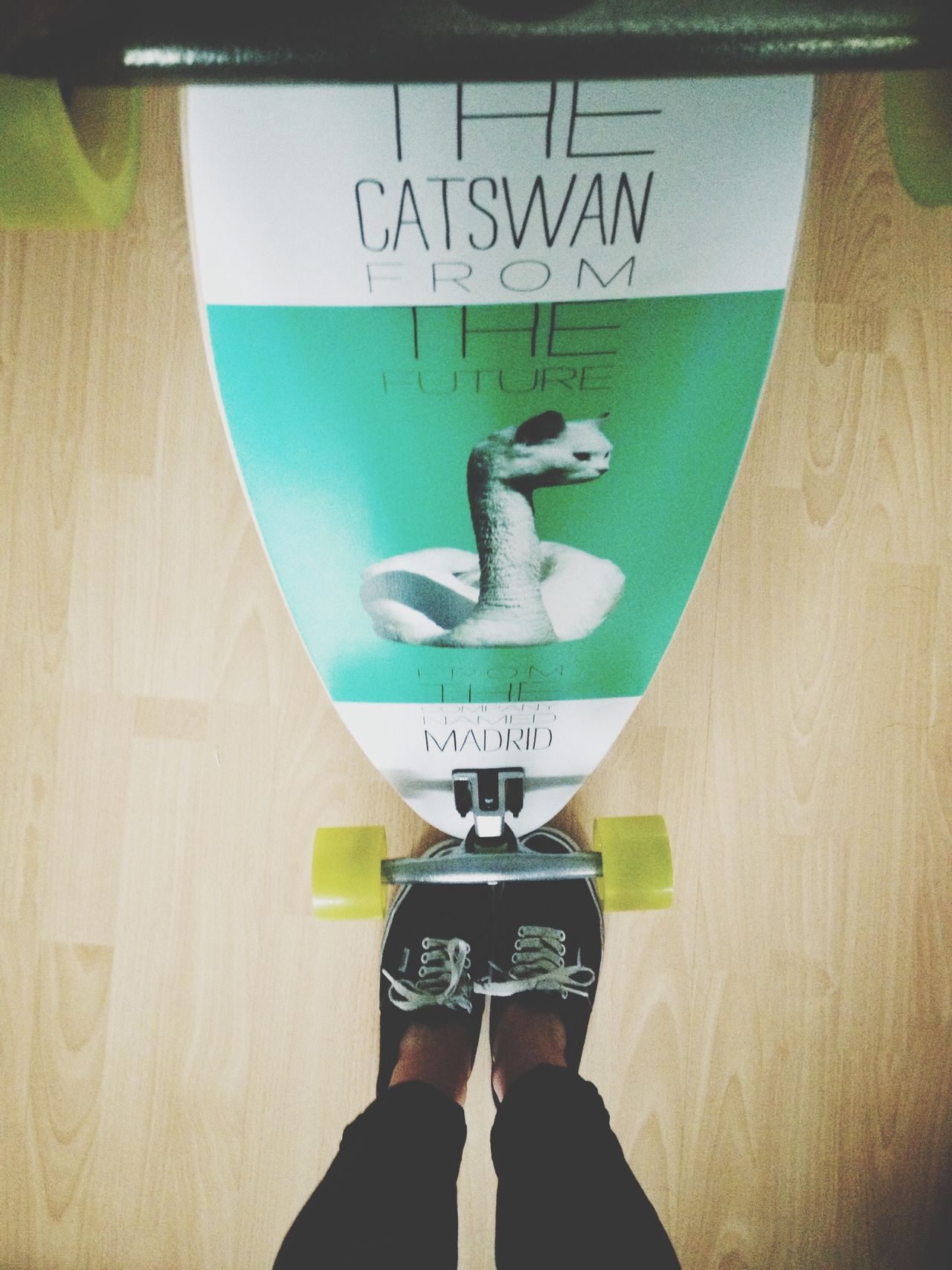 Catswan