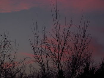 Silhouette trees against sky at dusk