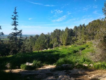 Scenic view of landscape against blue sky