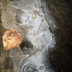 Close-up of water