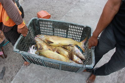 Low section of people carrying fresh fish in crate