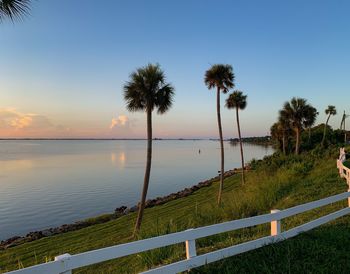 Palm trees by sea against sky during sunset