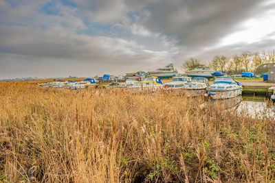 Holiday boats moored up in a small dyke in acle in rural norfolk