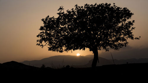 Low angle view of silhouette tree against sky at sunset