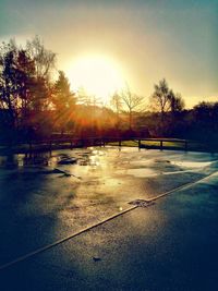 Bare trees at sunset