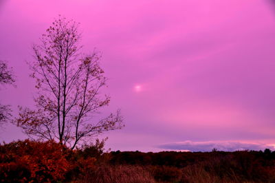 Dramatic sky over landscape