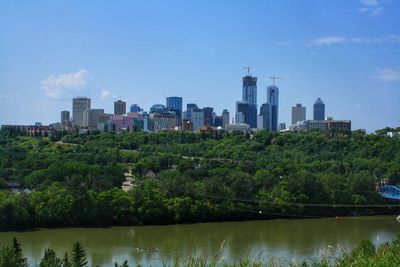 Trees and buildings in city against sky