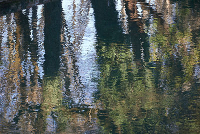 High angle view of trees by lake