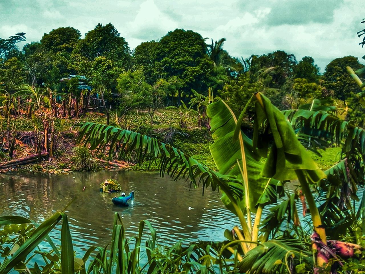 sky, water, tree, growth, green color, tranquility, cloud - sky, nature, tranquil scene, beauty in nature, plant, scenics, lake, cloud, cloudy, day, idyllic, nautical vessel, palm tree, outdoors