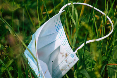 Close-up of white umbrella on field