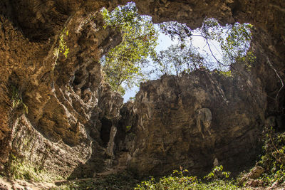 Low angle view of rock formation amidst trees