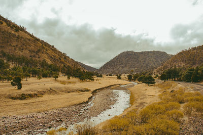 Scenic view of landscape against sky