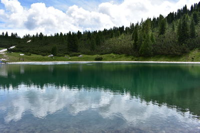 Scenic view of lake by trees against sky