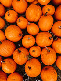 Full frame shot of pumpkins for sale at market stall