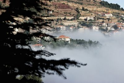 Houses and trees in city against sky