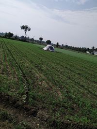 Scenic view of field against sky