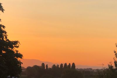 Silhouette trees on landscape against orange sky