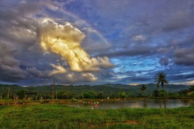 Scenic view of landscape against sky