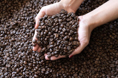 High angle view of hand holding coffee beans