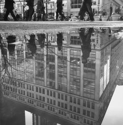 Buildings in city
