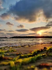 Scenic view of beach against sky during sunset