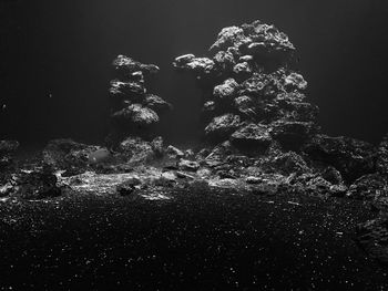 View of coral in sea