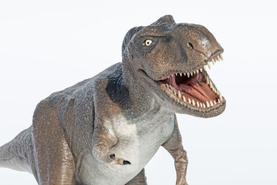 Close-up of animal sculpture against white background