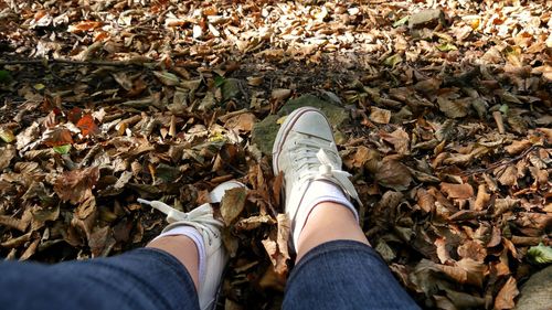 Low section of person wearing autumn leaves