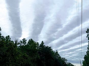 Low angle view of trees against sky