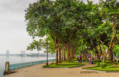 Trees and plants in park against sky