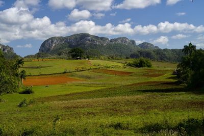 Scenic view of field against sky