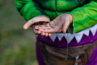 Close-up of hand holding leaf