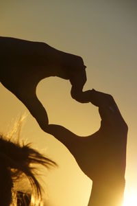 Close-up of silhouette against clear sky during sunset