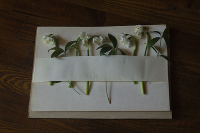 High angle view of paper in box on table