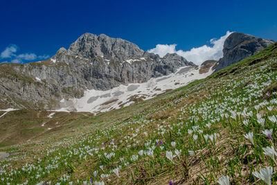 Scenic view of snowcapped mountains against sky