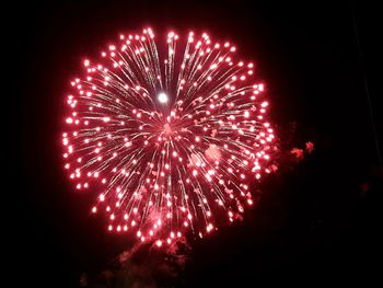 Low angle view of firework display at night