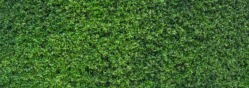 Full frame shot of soccer field