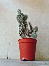 Close-up of red wine