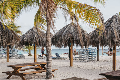 Palm tree and thatched roof parasols at beach