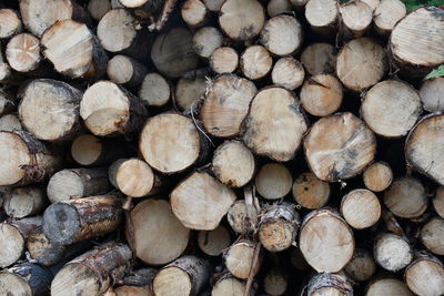 Full frame shot of logs