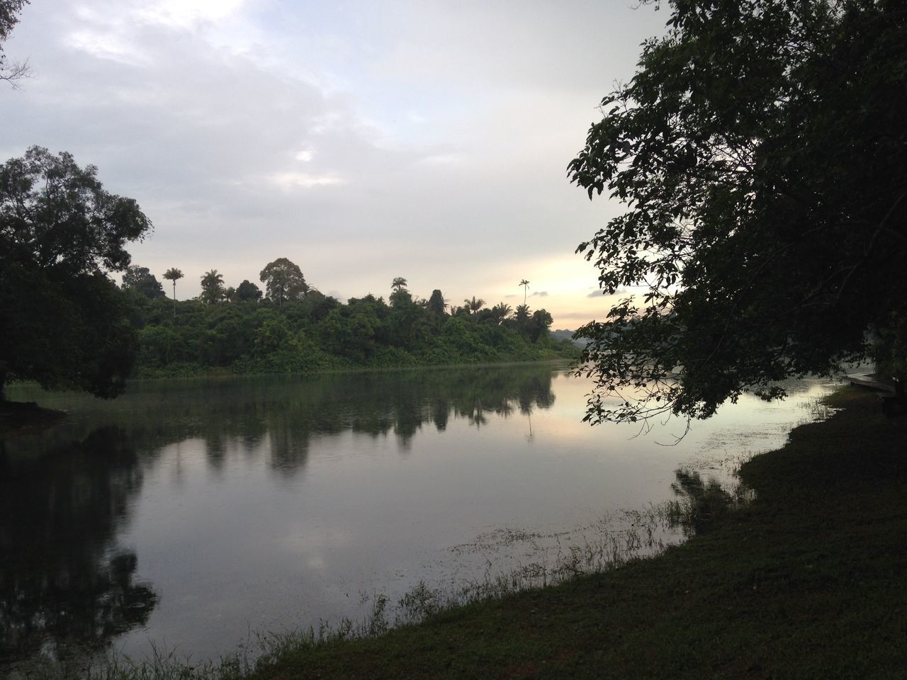 tree, tranquil scene, water, tranquility, reflection, lake, sky, scenics, beauty in nature, nature, cloud - sky, idyllic, growth, river, cloud, calm, sunset, landscape, non-urban scene, silhouette