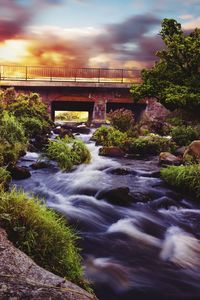 Bridge over river against trees