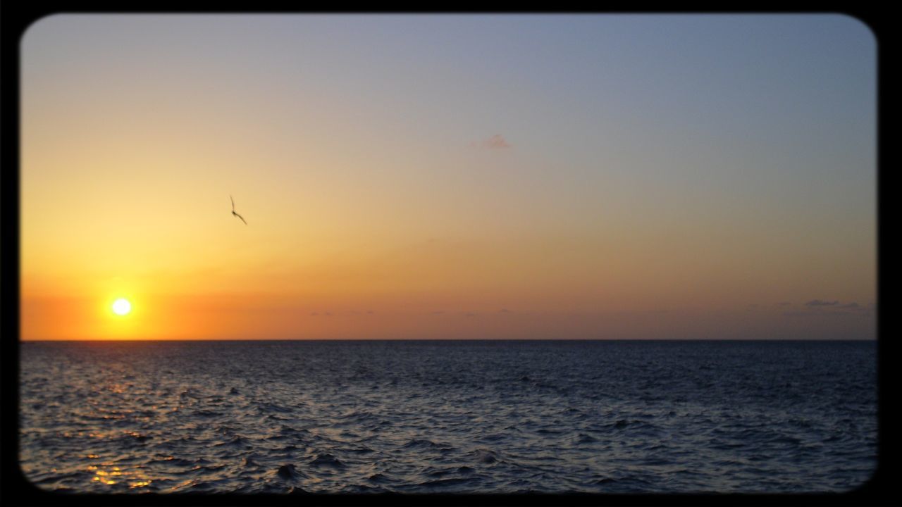 sea, sunset, water, horizon over water, transfer print, sun, scenics, tranquil scene, beauty in nature, tranquility, bird, auto post production filter, waterfront, orange color, nature, idyllic, flying, silhouette, clear sky, rippled