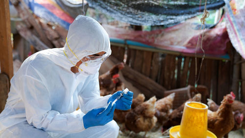 Side view of people working at market
