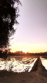 Scenic view of lake against clear sky at sunset