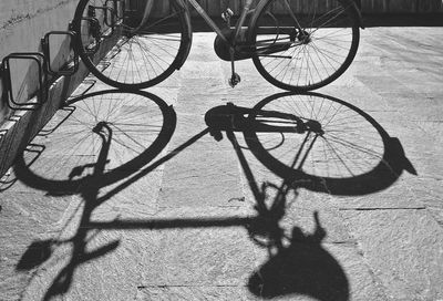 Shadow of bicycle in parking lot during sunny day
